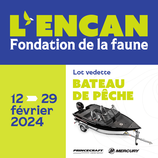 L'encan Fondation de la faune